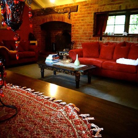 Arden Country House Waitati Buitenkant foto