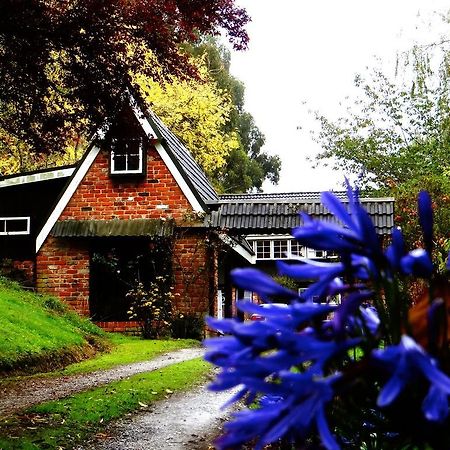 Arden Country House Waitati Buitenkant foto