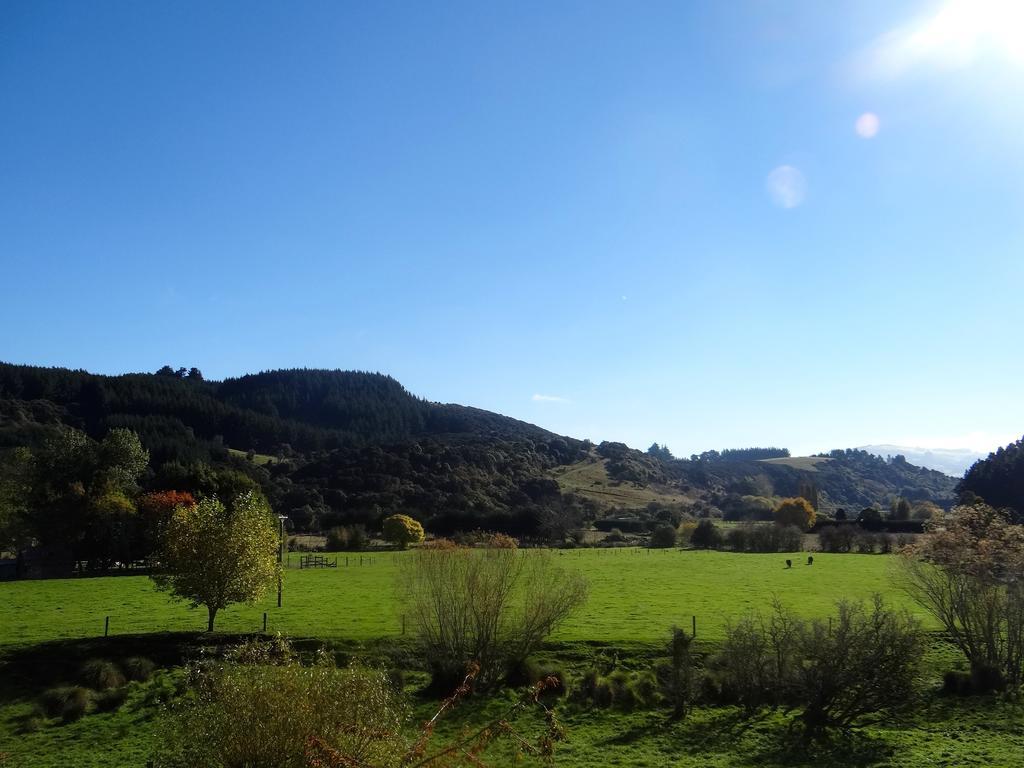 Arden Country House Waitati Buitenkant foto
