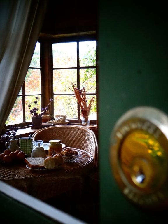 Arden Country House Waitati Buitenkant foto
