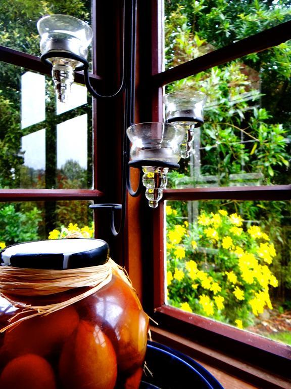 Arden Country House Waitati Buitenkant foto