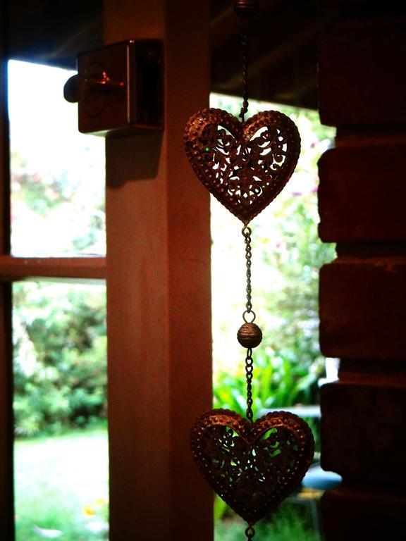 Arden Country House Waitati Buitenkant foto