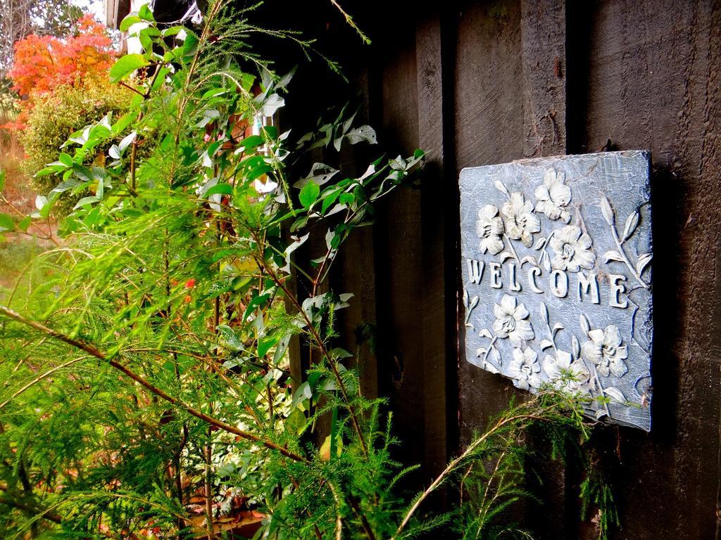 Arden Country House Waitati Buitenkant foto