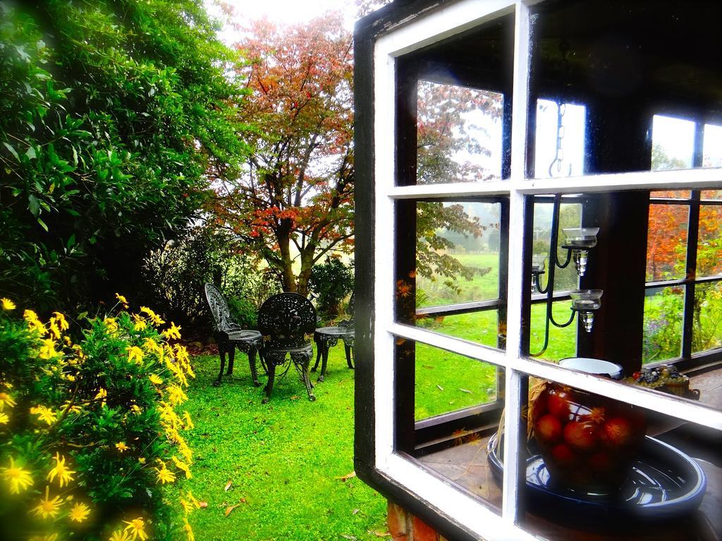 Arden Country House Waitati Buitenkant foto