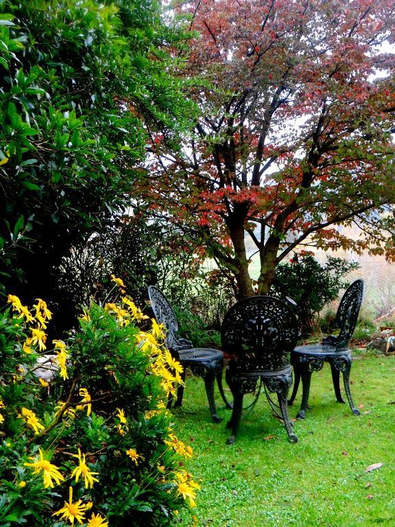 Arden Country House Waitati Buitenkant foto