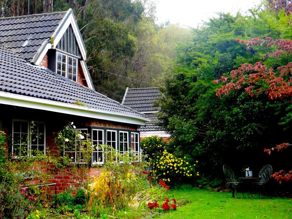 Arden Country House Waitati Buitenkant foto